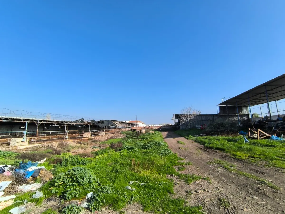 ACİL SATILIK ÇİFTLİK / TESİS ALANI - Fotoğraf 1