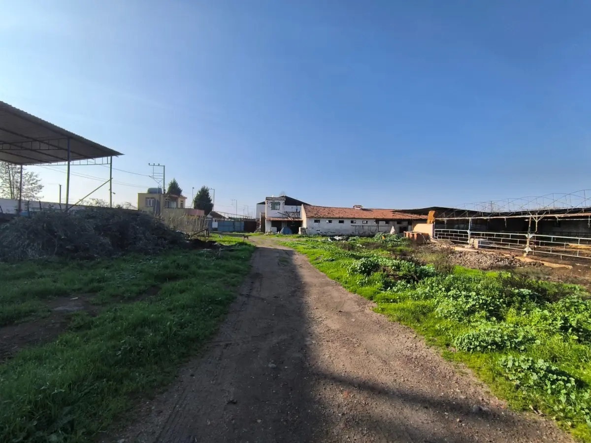 ACİL SATILIK ÇİFTLİK / TESİS ALANI - Fotoğraf 3