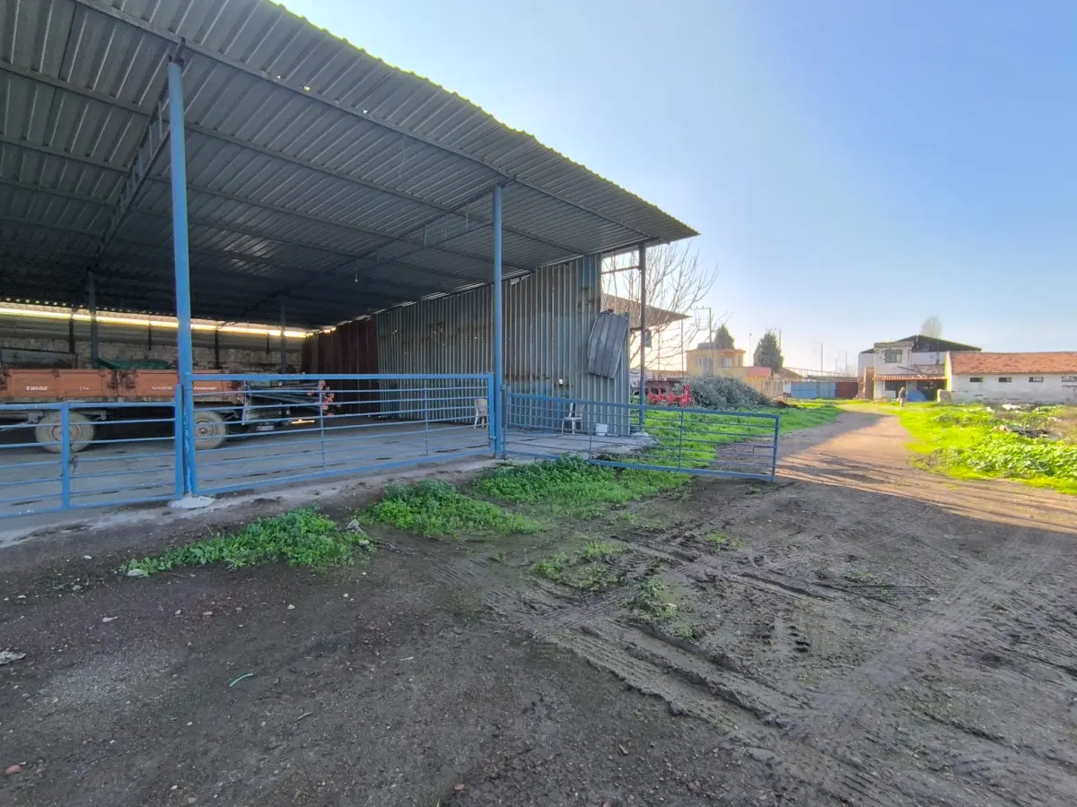 ACİL SATILIK ÇİFTLİK / TESİS ALANI - Fotoğraf 6