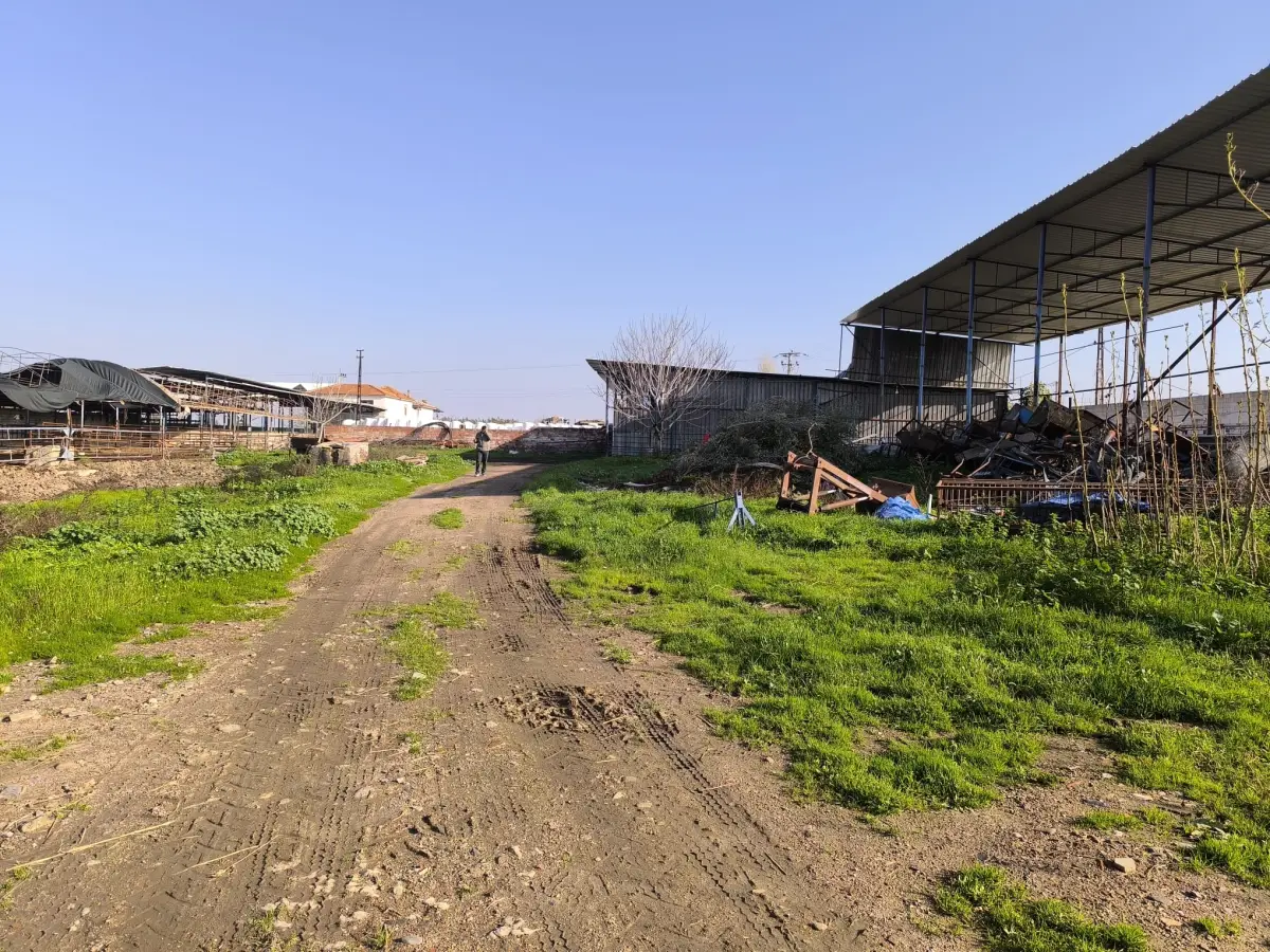 ACİL SATILIK ÇİFTLİK / TESİS ALANI - Fotoğraf 9