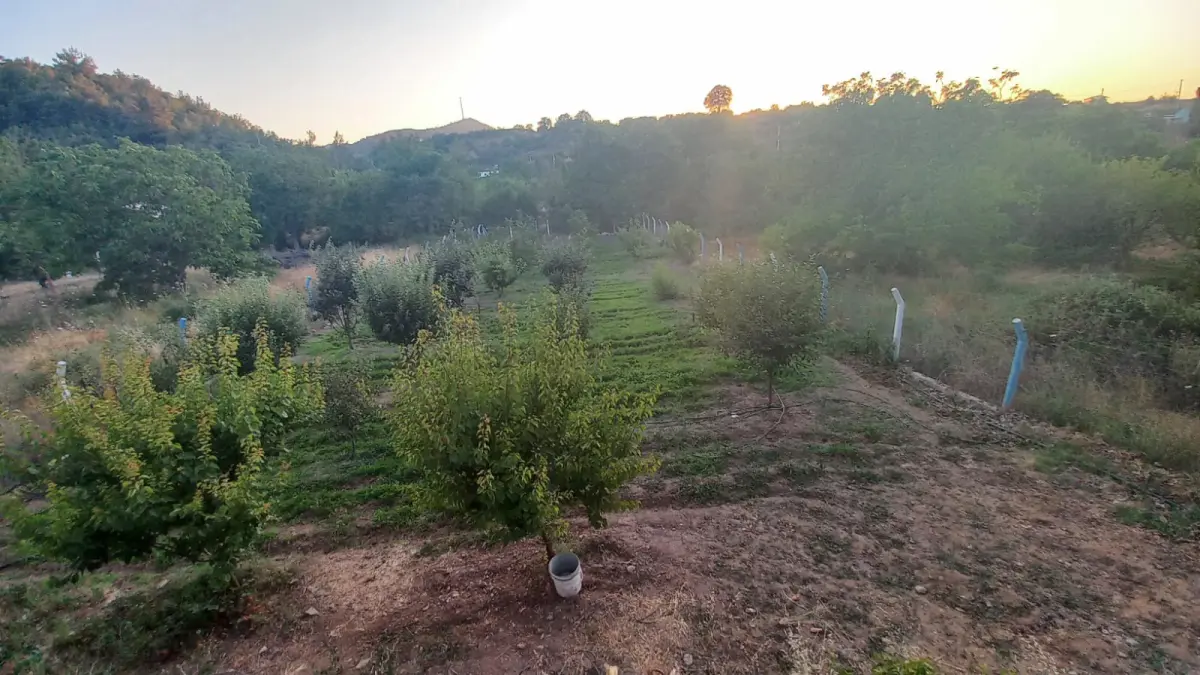 DERE KENARI MUHTEŞEM BAHÇE  📍 TURGUTLU – GÜNEYKÖYÜ - Fotoğraf 4