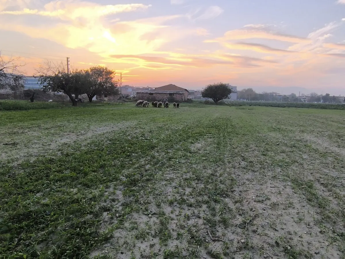 ACİL SATILIK FIRSAT ARAZİ 330 m² – 915.BİN TL–TAPULU SATIŞA HAZIR 🌿 - Fotoğraf 4