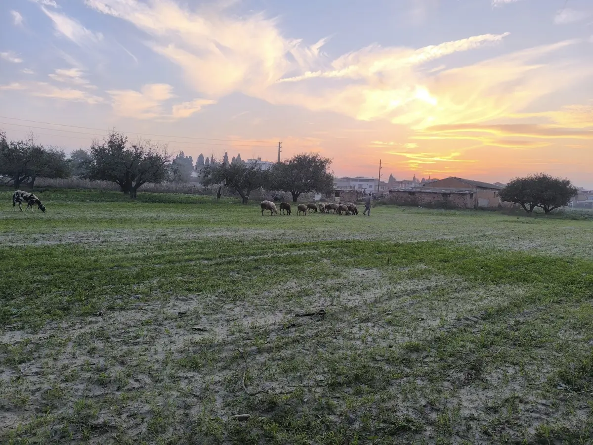 ACİL SATILIK FIRSAT ARAZİ 330 m² – 915.BİN TL–TAPULU SATIŞA HAZIR 🌿 - Fotoğraf 7