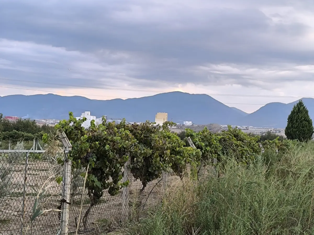 𝐀𝐂𝐈𝐋 𝐒𝐀𝐓𝐈𝐋𝐈𝐊 𝟑 𝐃𝐎̈𝐍𝐔̈𝐌 𝐒̧𝐄𝐅𝐓𝐀𝐋𝐈 𝐁𝐀𝐇𝐂̧𝐄𝐒𝐈 - Fotoğraf 6