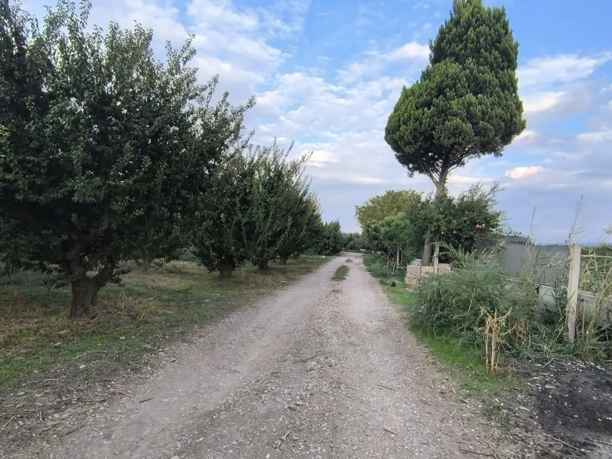 𝐀𝐂𝐈𝐋 𝐒𝐀𝐓𝐈𝐋𝐈𝐊 𝟑 𝐃𝐎̈𝐍𝐔̈𝐌 𝐒̧𝐄𝐅𝐓𝐀𝐋𝐈 𝐁𝐀𝐇𝐂̧𝐄𝐒𝐈 - Fotoğraf 8