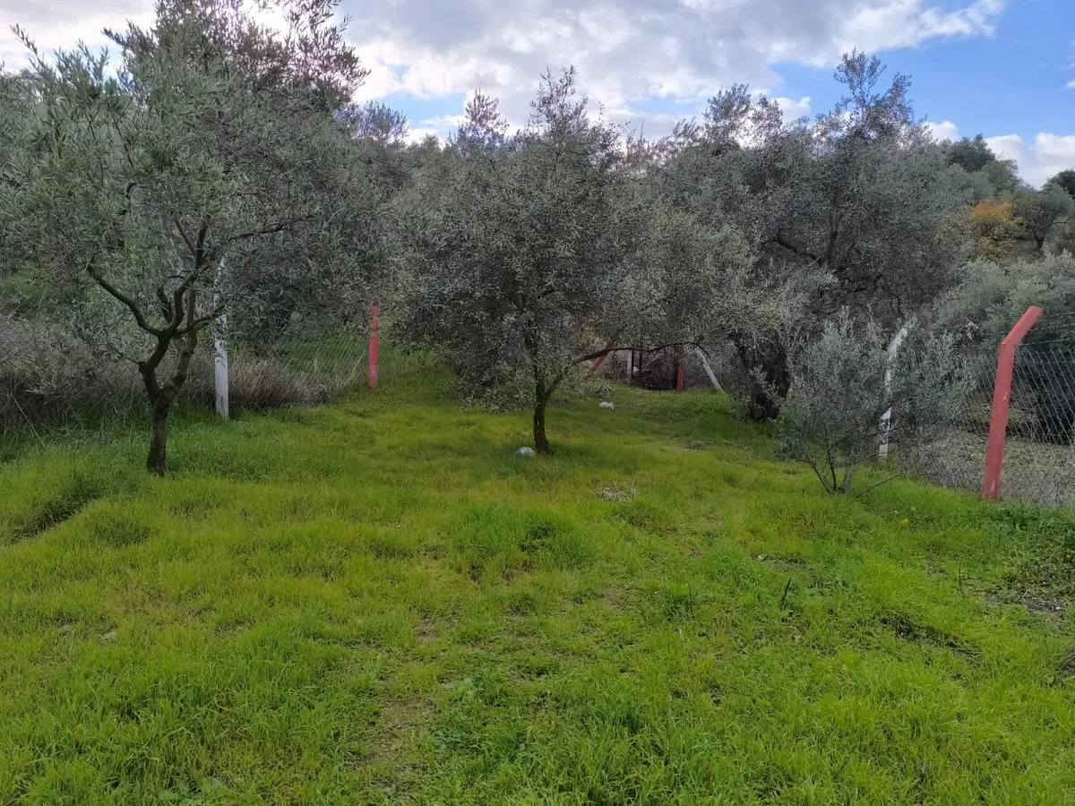 ACİL SATILIK  TEK TAPU | 770 M² HOBİ BAHÇESİ - Fotoğraf 3