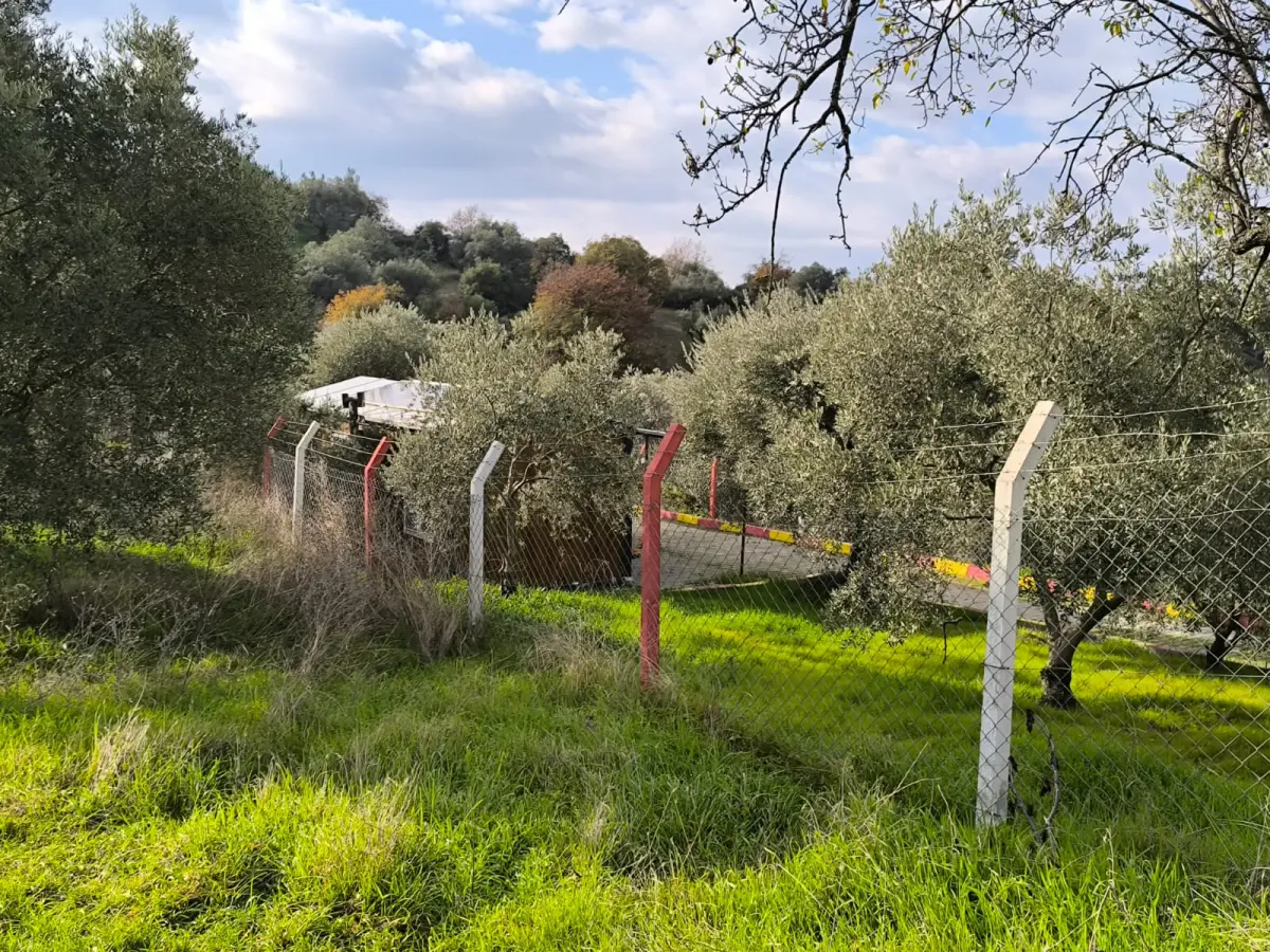 ACİL SATILIK  TEK TAPU | 770 M² HOBİ BAHÇESİ - Fotoğraf 4