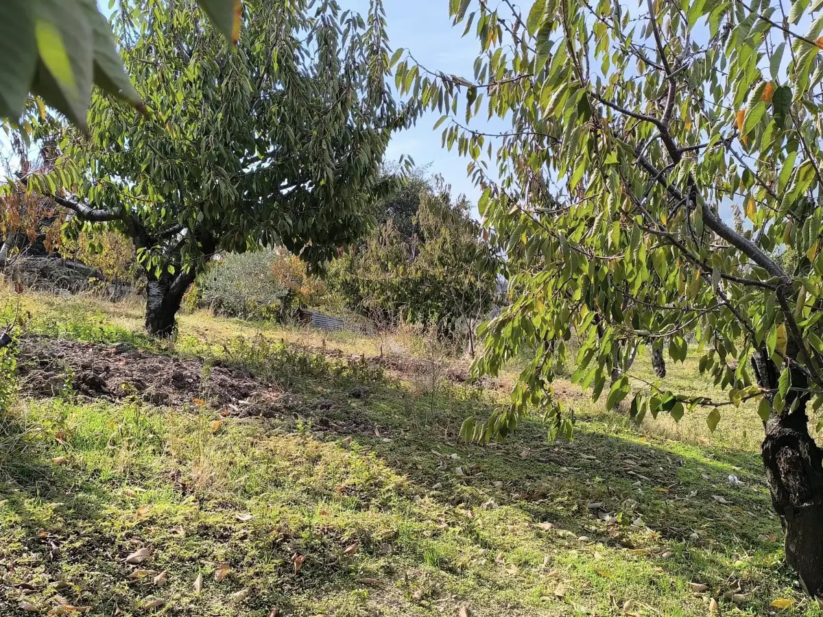 ELEKTRİĞİ VE SUYU VAR – KÖY DİBİNDE - Fotoğraf 3