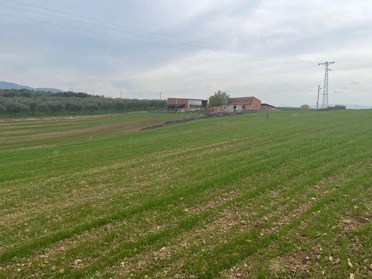 ACİL SATILIK 1.700 m² KÖY YANIARAZ - Fotoğraf 6