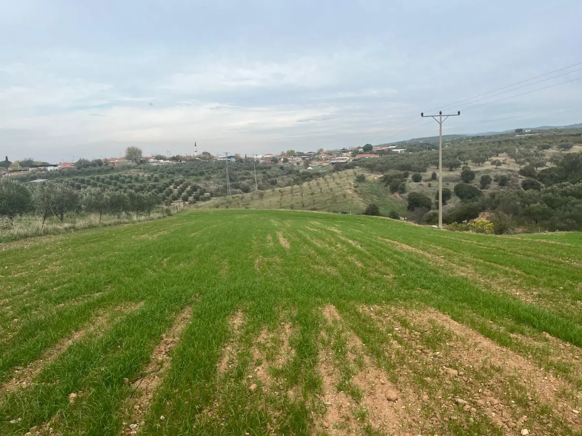 ACİL SATILIK 1.700 m² KÖY YANIARAZ - Fotoğraf 8