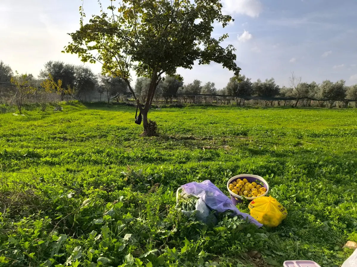 ACİL SATILIK HOBİ BAHÇESİ - Fotoğraf 2