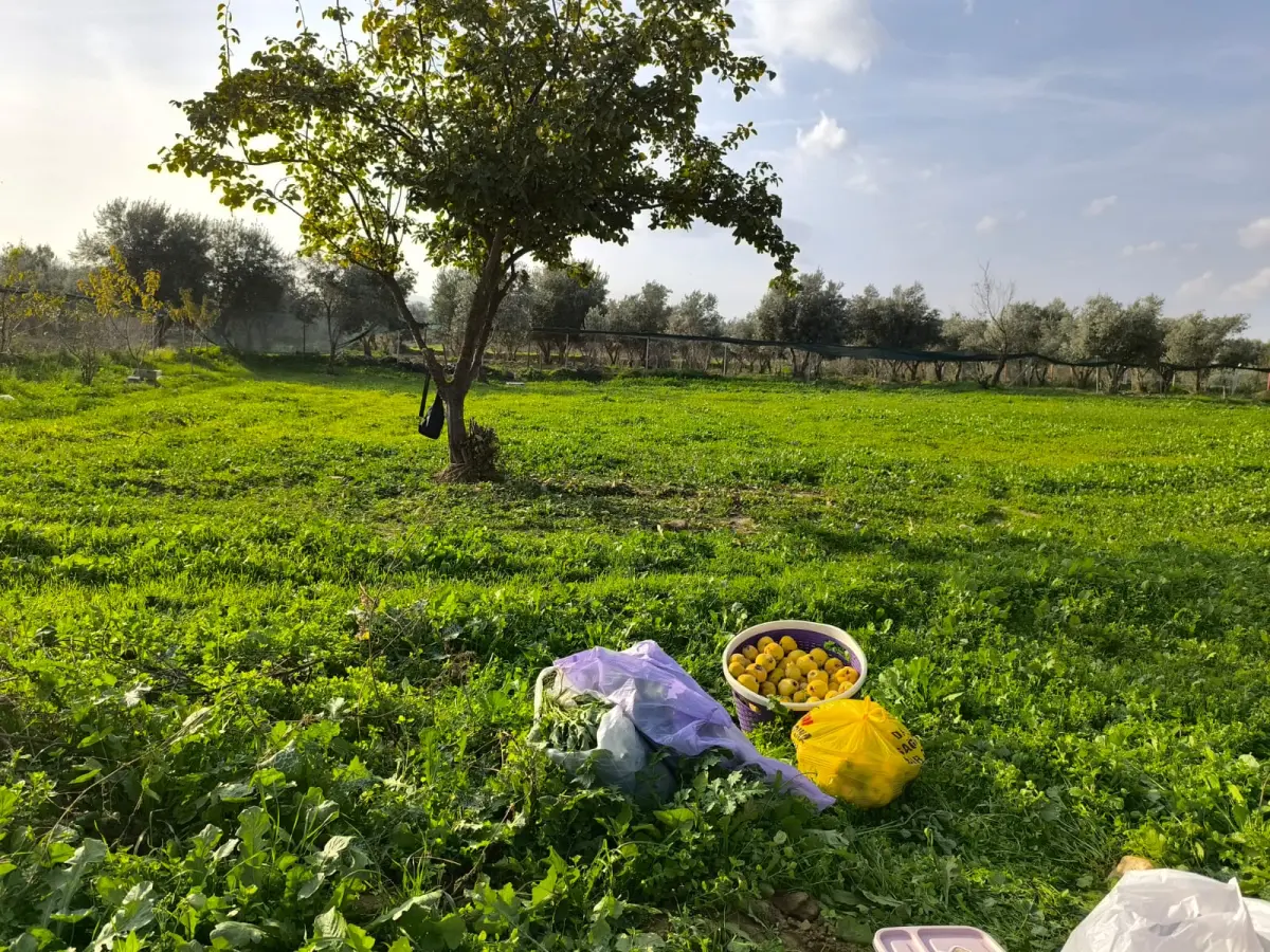 ACİL SATILIK HOBİ BAHÇESİ - Fotoğraf 4