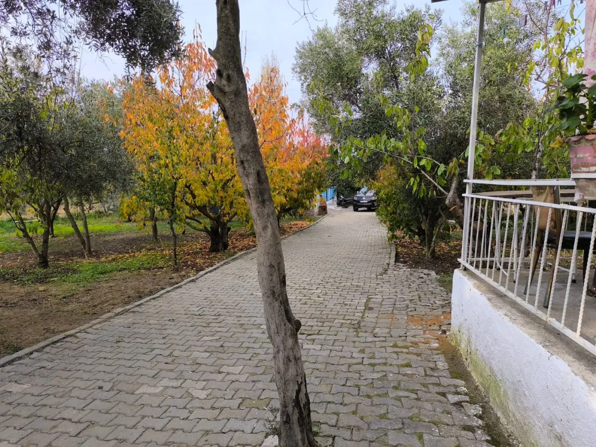 ACİL SATILIK   -YAZLIK KÖY EVLERİ – MÜKEMMEL YAŞAM ALANI - Fotoğraf 11