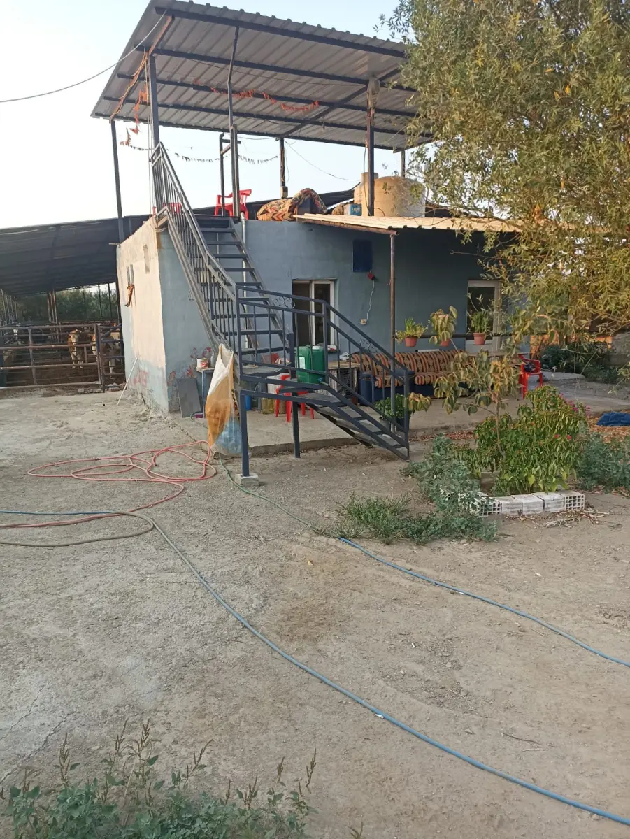 Ev çiftlik yaşam alanı - Fotoğraf 3