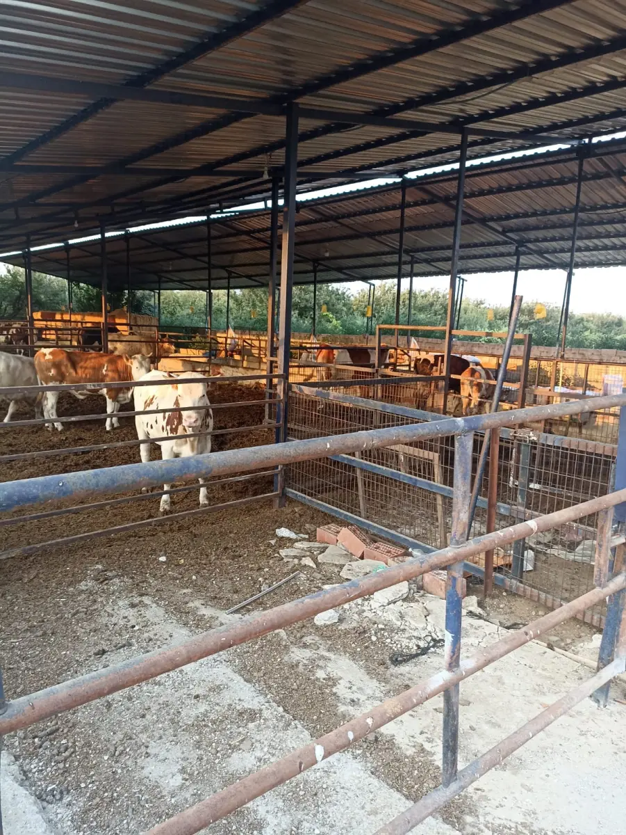 Ev çiftlik yaşam alanı - Fotoğraf 6