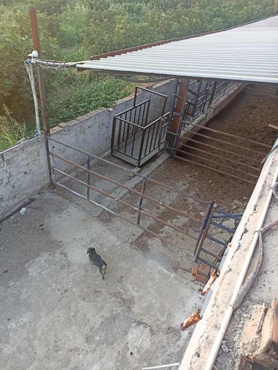 Ev çiftlik yaşam alanı - Fotoğraf 7