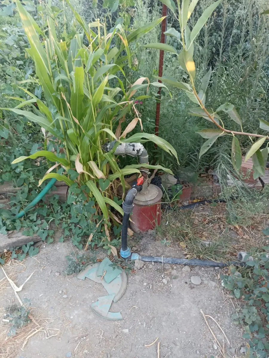 Ev çiftlik yaşam alanı - Fotoğraf 11