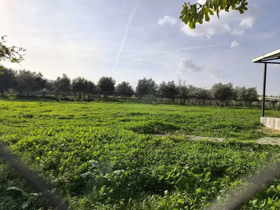 ACİL SATILIK HOBİ BAHÇESİ - Fotoğraf 5