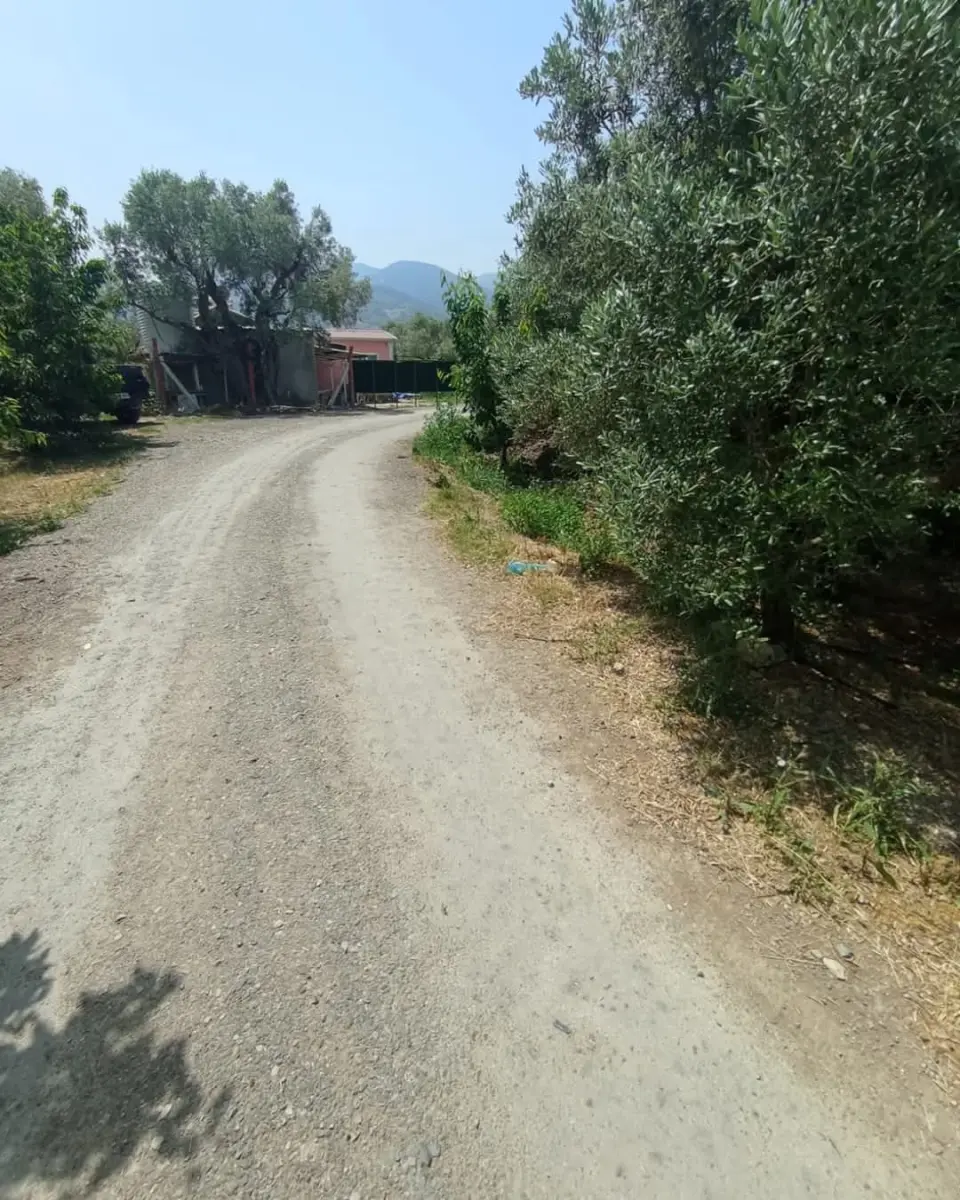 6.250.00 TL  Tek Tapu   Kirazlık - Fotoğraf 3