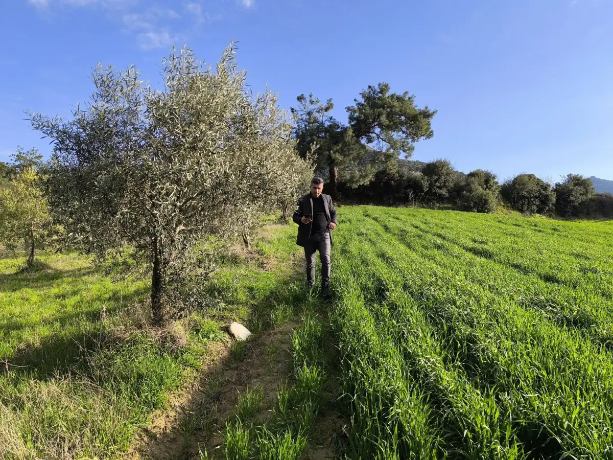 FIRSAT SATILIK - 6 DÖNÜM TARLA – TEK TAPU - Fotoğraf 10