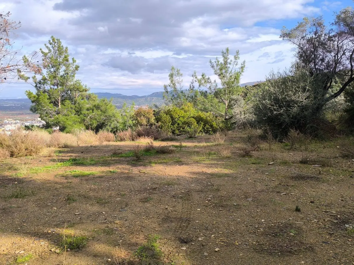 ACİL SATILIK  İZMİR – KEMALPAŞA BAĞ YURDU - Fotoğraf 2