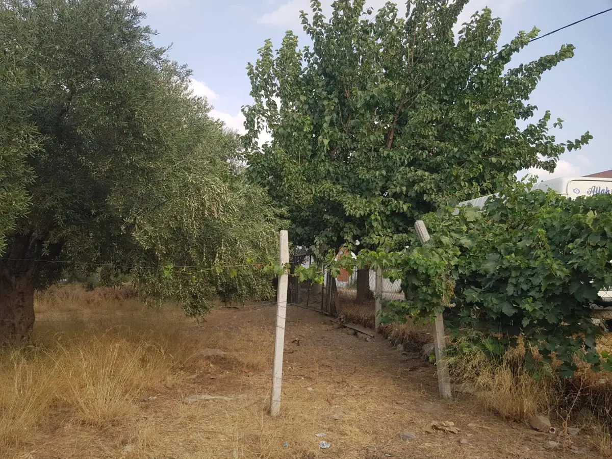 ACİL SATILIK MANİSA / TURGUTLU / DERBENT - Fotoğraf 7