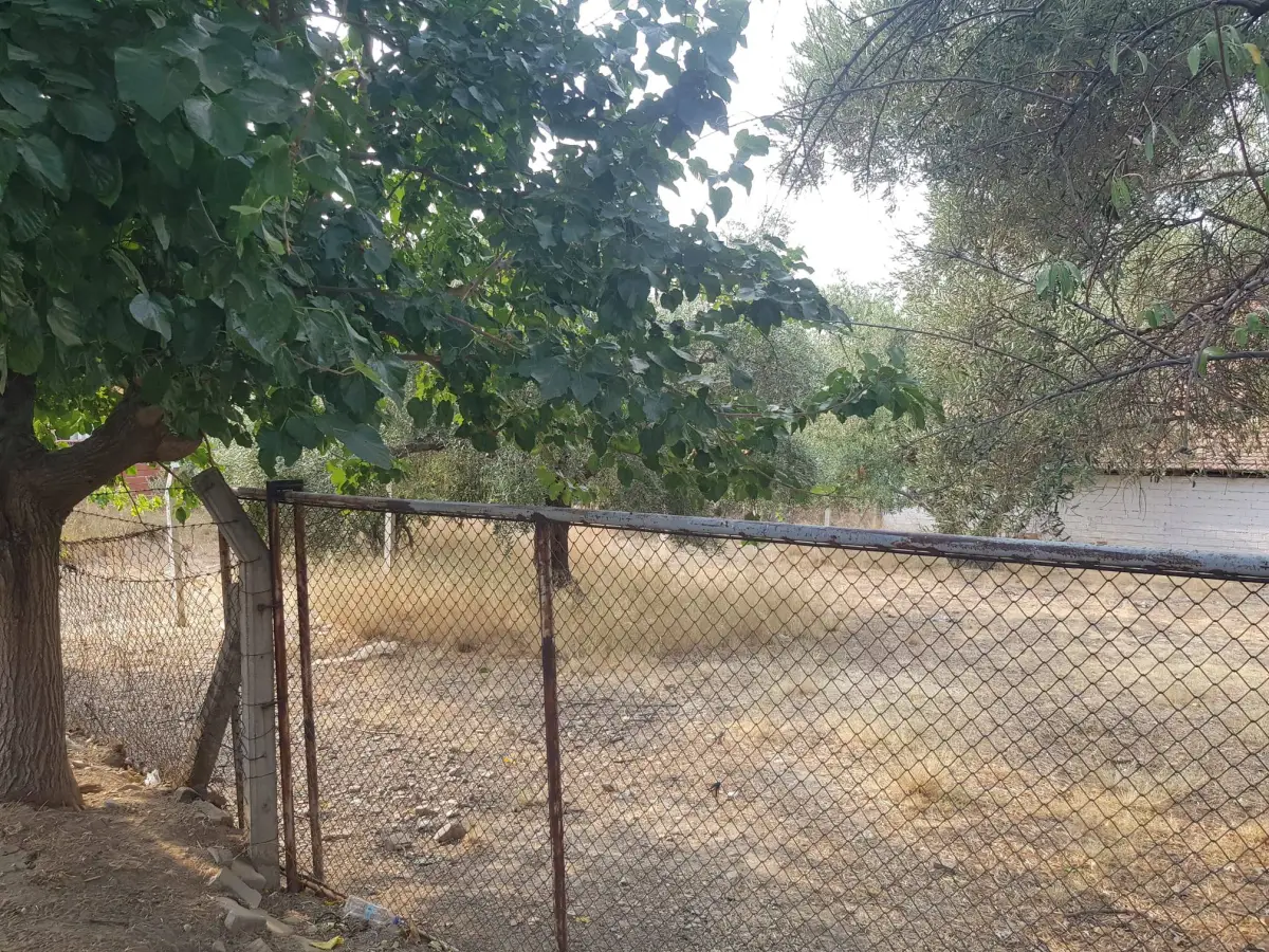 ACİL SATILIK MANİSA / TURGUTLU / DERBENT - Fotoğraf 8