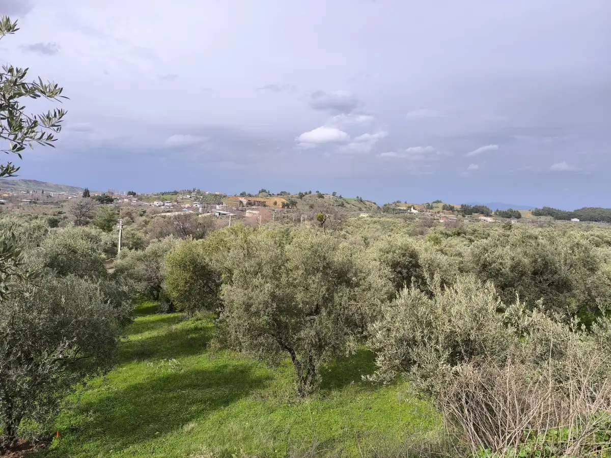ACİL SATILIK KISA SÜRELİ FIRSAT  TURGUTLU’NUN GÖZDE YERİ IRLMAZ’DA - Fotoğraf 8
