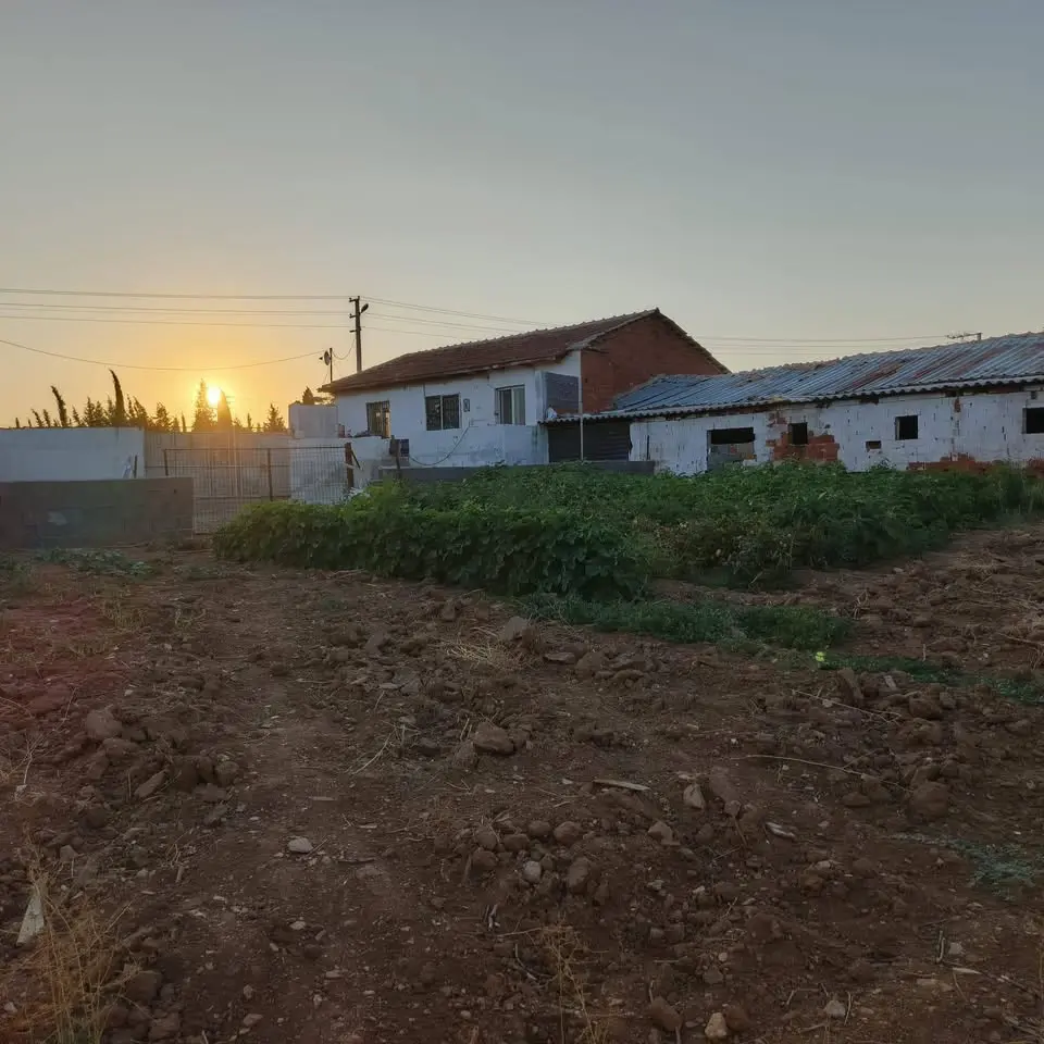 KAÇIRILMAYACAK ÇİFTLİK FIRSATI – MANİSA SARUHANLI BÜYÜKBELEN - Fotoğraf 5