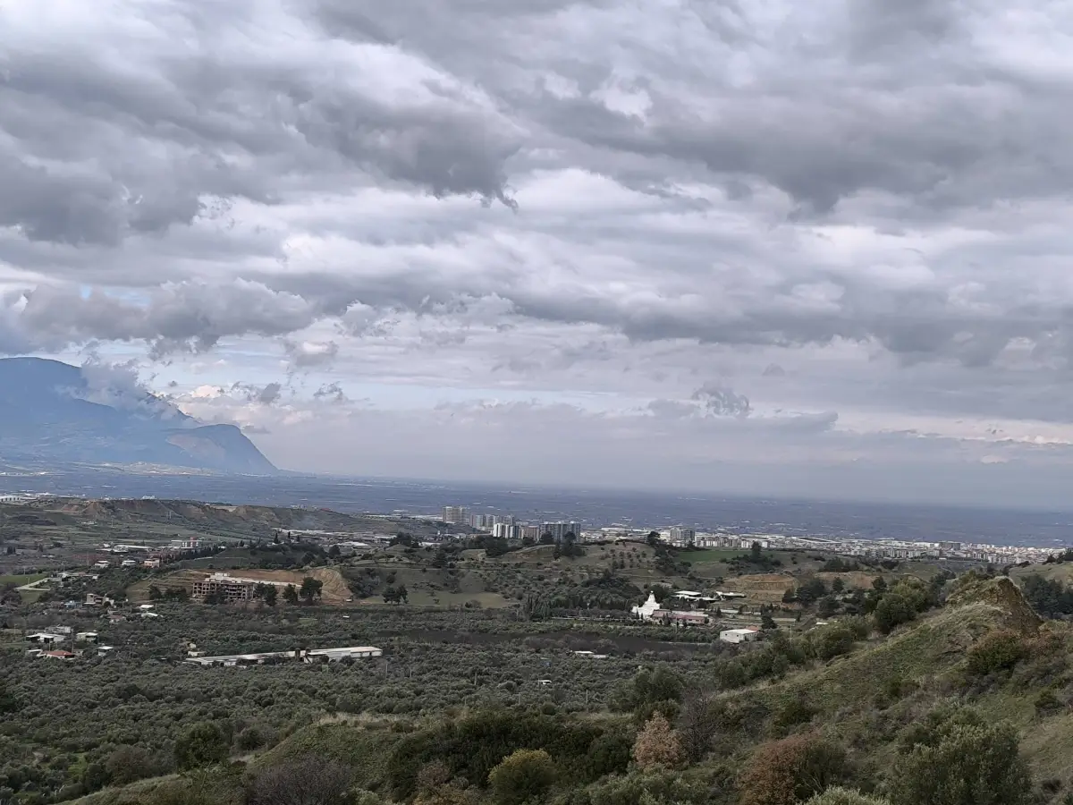 TURGUTLU YAYLA DA 900 M² TEK TAPU ZEYTİNLİK - Fotoğraf 2