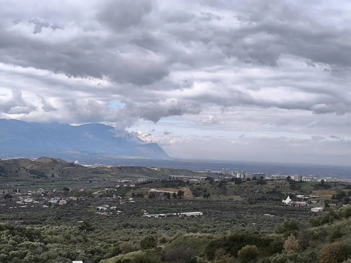 TURGUTLU YAYLA DA 900 M² TEK TAPU ZEYTİNLİK - Fotoğraf 12