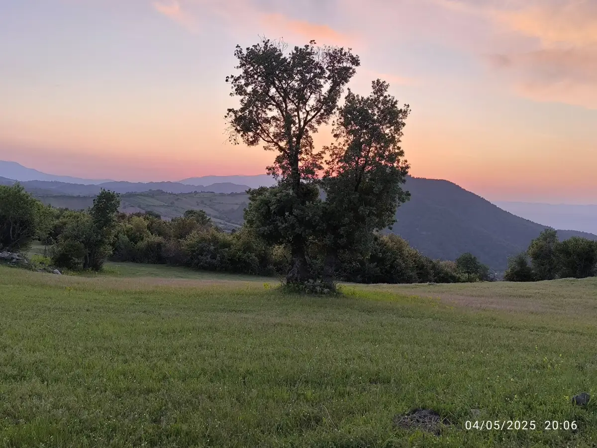 FIRSAT ARAZİ SATILIK  - 15 DÖNÜM – TEK TAPU - Fotoğraf 2