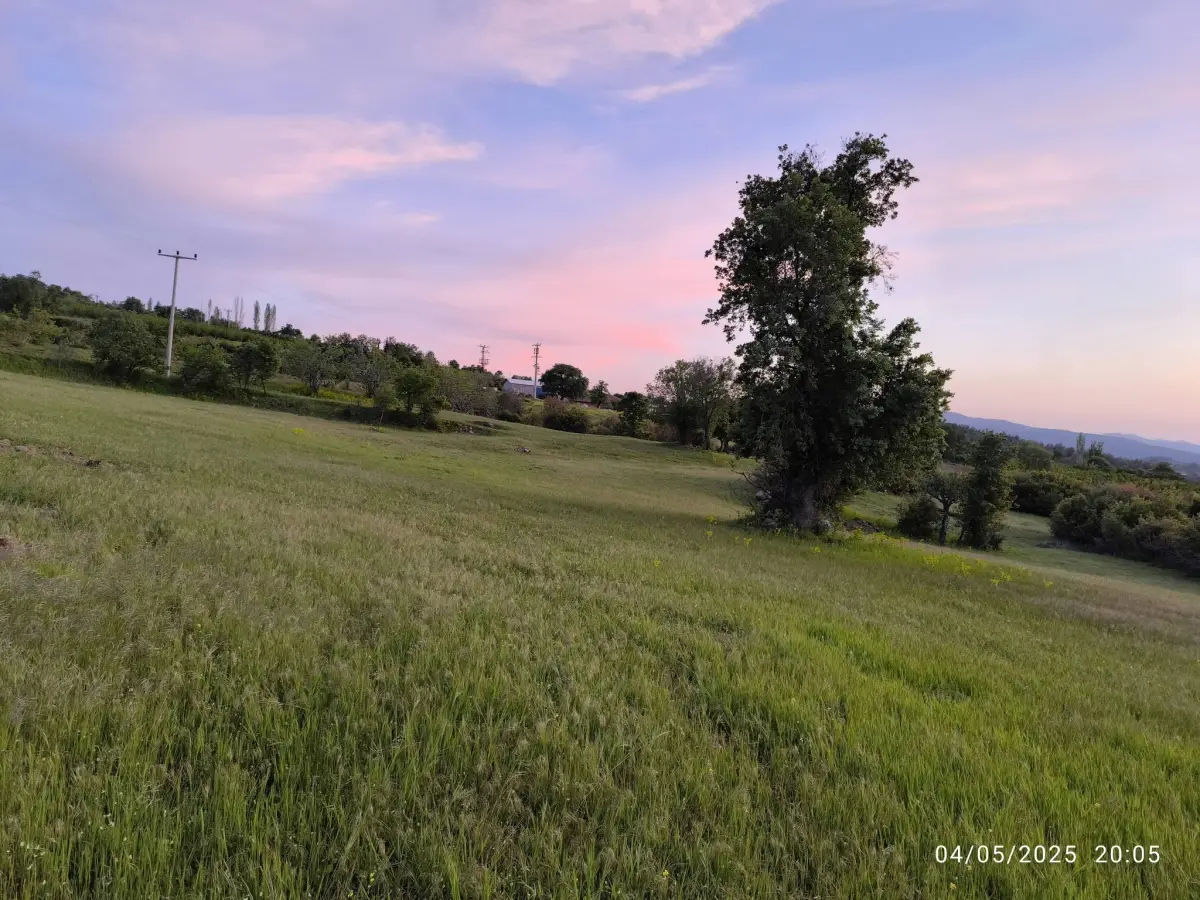 FIRSAT ARAZİ SATILIK  - 15 DÖNÜM – TEK TAPU - Fotoğraf 4