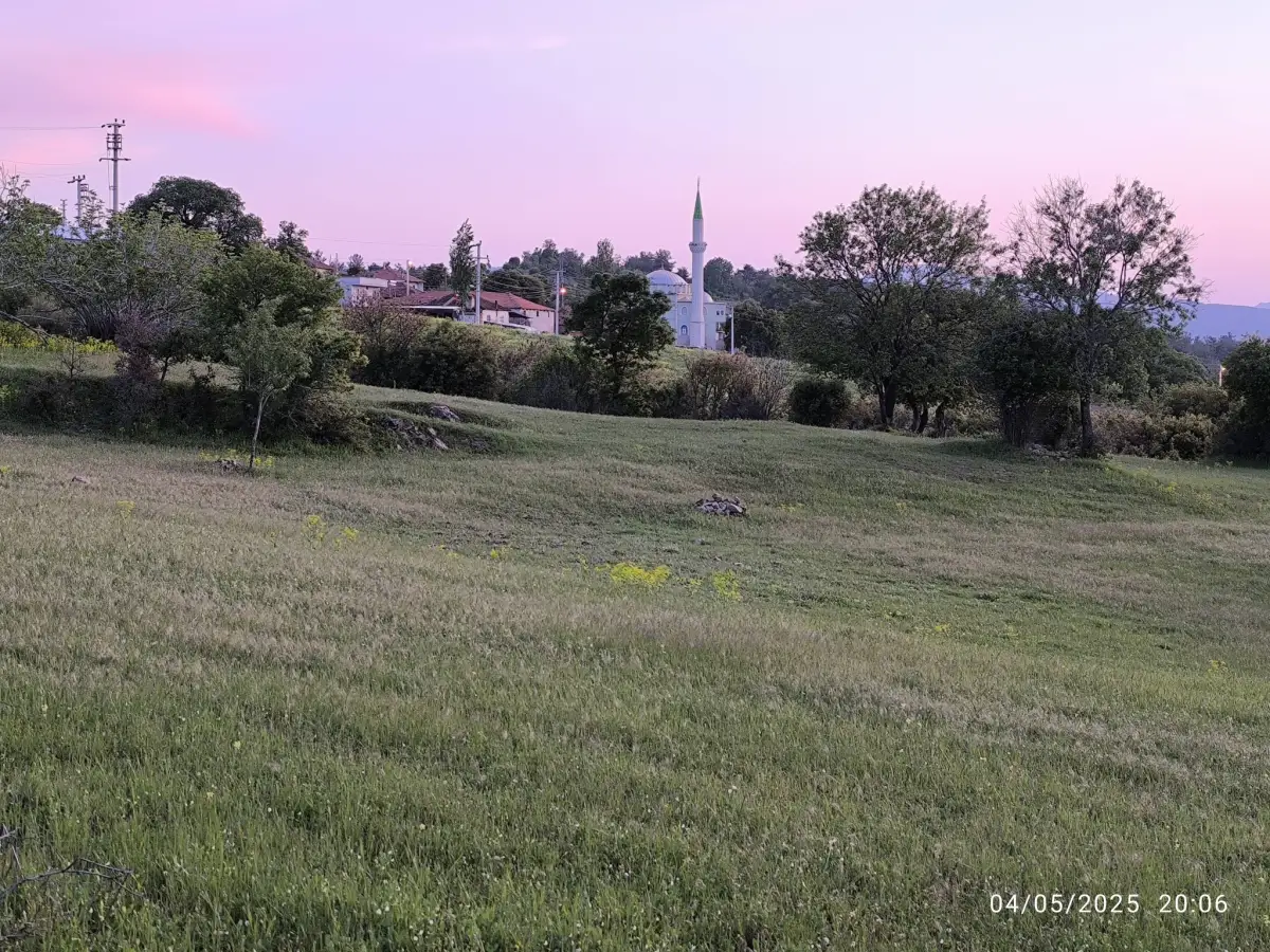 FIRSAT ARAZİ SATILIK  - 15 DÖNÜM – TEK TAPU - Fotoğraf 5