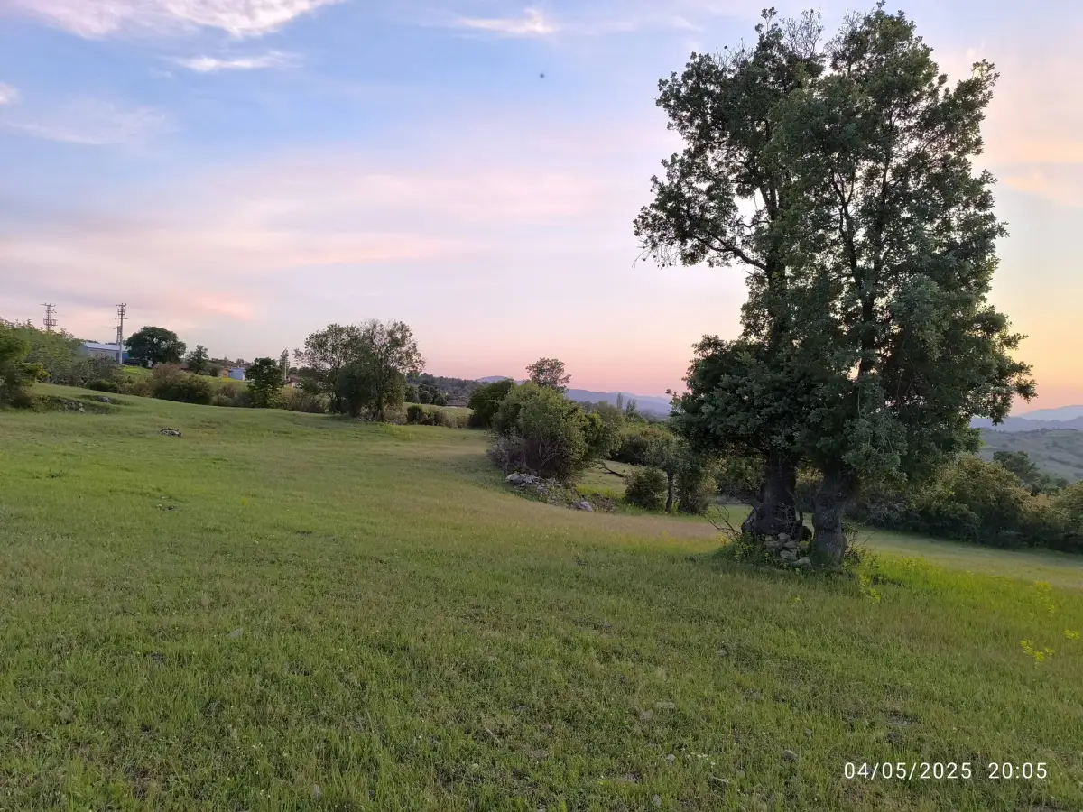 FIRSAT ARAZİ SATILIK  - 15 DÖNÜM – TEK TAPU - Fotoğraf 8