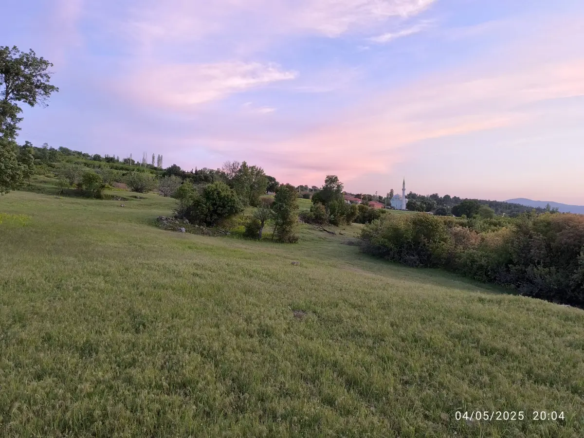 FIRSAT ARAZİ SATILIK  - 15 DÖNÜM – TEK TAPU - Fotoğraf 11