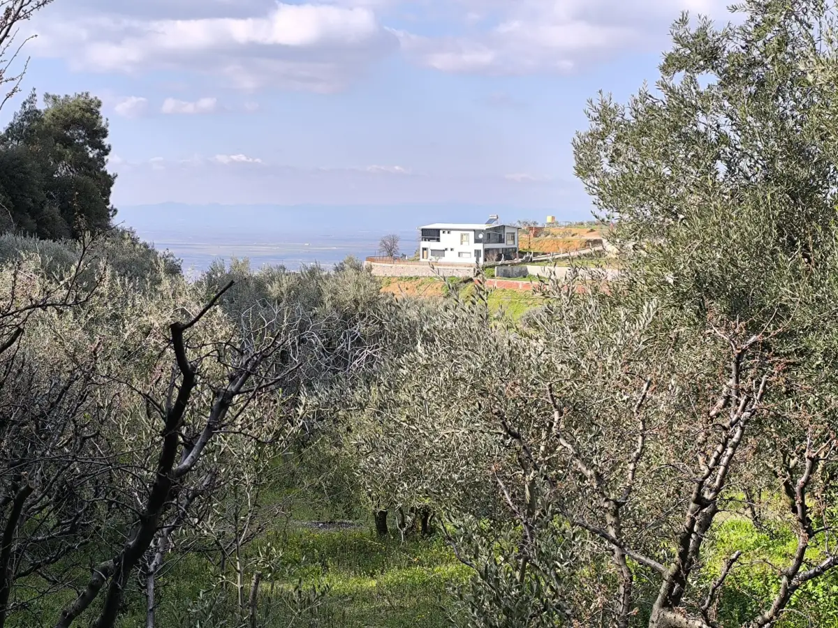 ACİL SATILIK MEYVE BAHÇESİ  OSMANCIK – DALBAHÇE ARASI - Fotoğraf 6