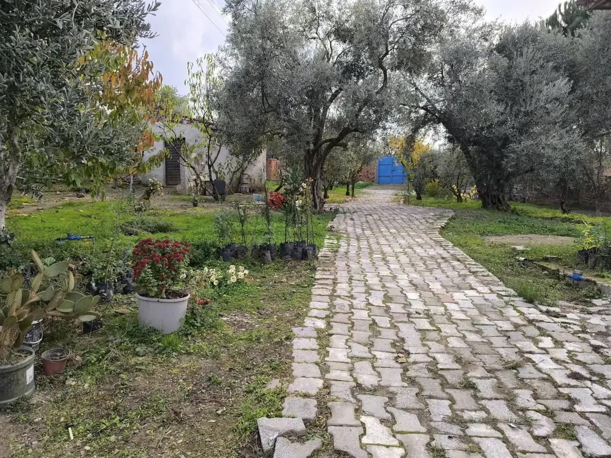 ACİL SATILIK – YAZLIK KÖY EVLERİ - Fotoğraf 9